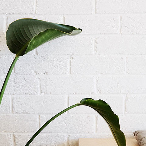 Portfolio Item 1  Copy