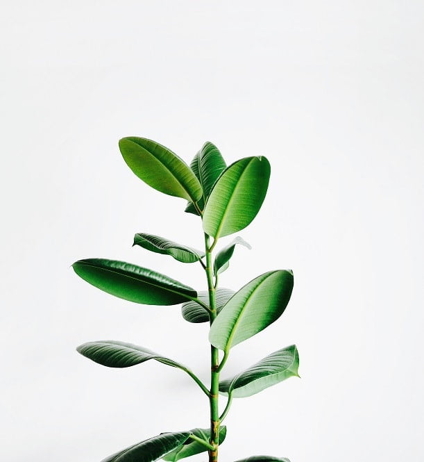 Portfolio Item 1  Copy